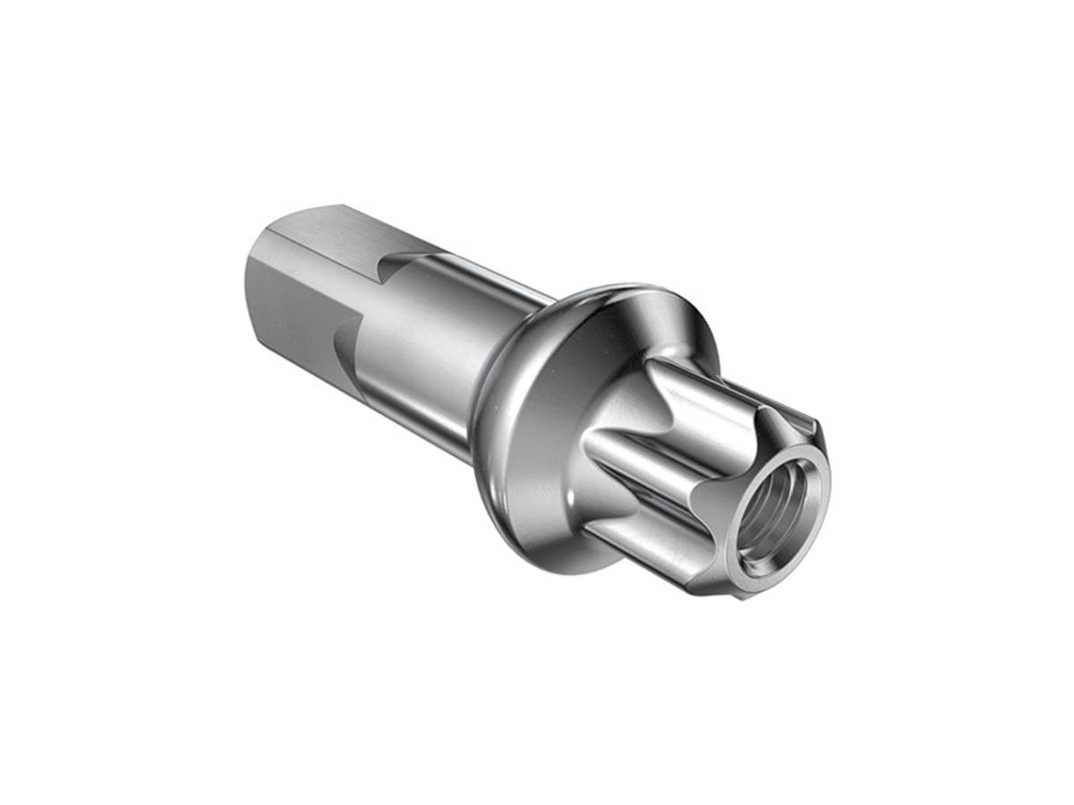DT Swiss 2,0mm Squorx Pro Head Pro lock Brass Nippler